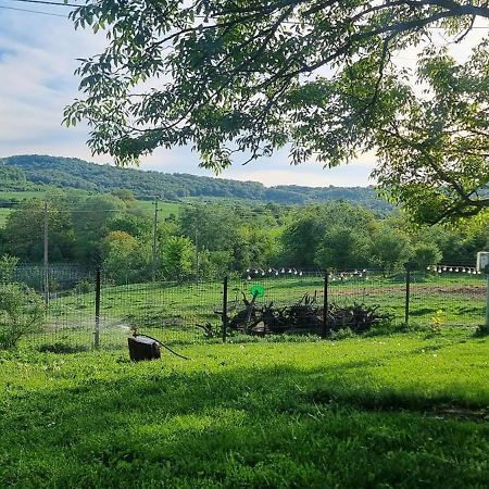 Вила "Намасте" С Панорамна Гледка И Камина На Дърва Lovech Exterior foto